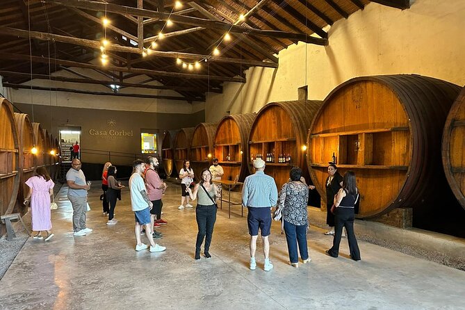 Ruta del vino con almuerzo - Key points to know before booking