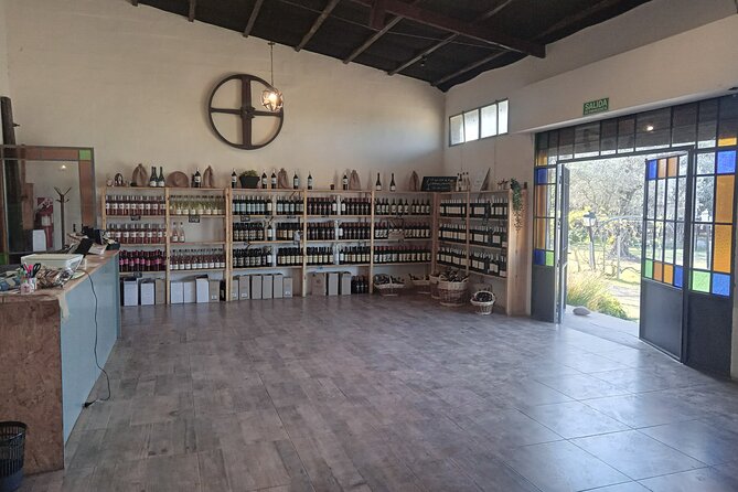 Ruta del vino con almuerzo - Why Maipú makes a good first wine day