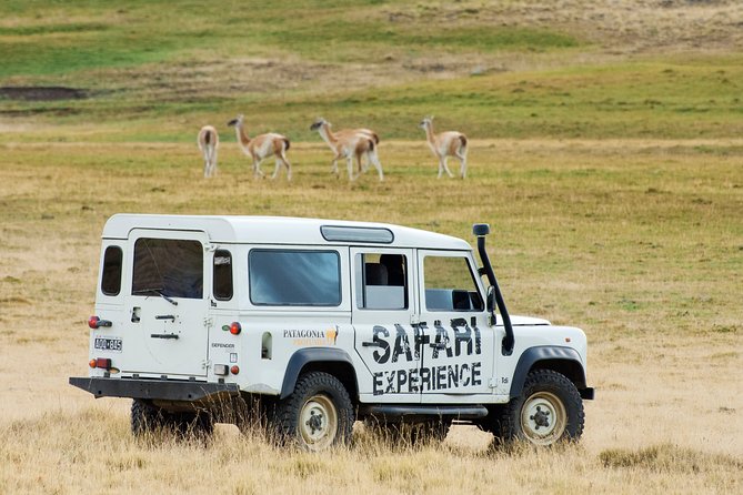Safari Experience - Wildlife & Steppe - Key points at a glance