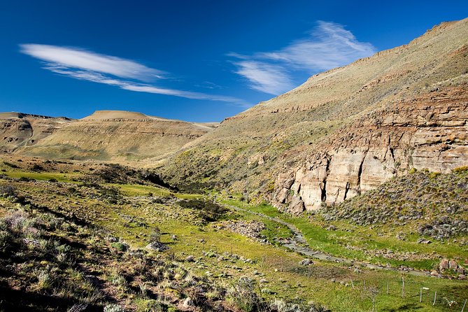 Safari Experience - Wildlife & Steppe - Watching guanacos, condors, and steppe wildlife