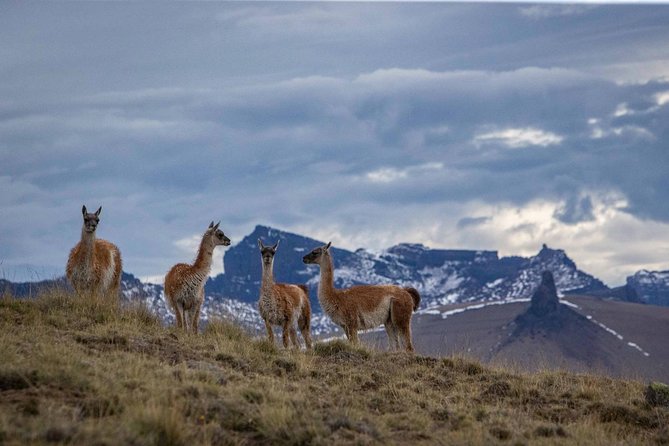 Safari Experience - Wildlife & Steppe - A closer look at the mountain views
