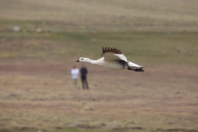 Safari Experience - Wildlife & Steppe - The estancia lunch is more than a meal break