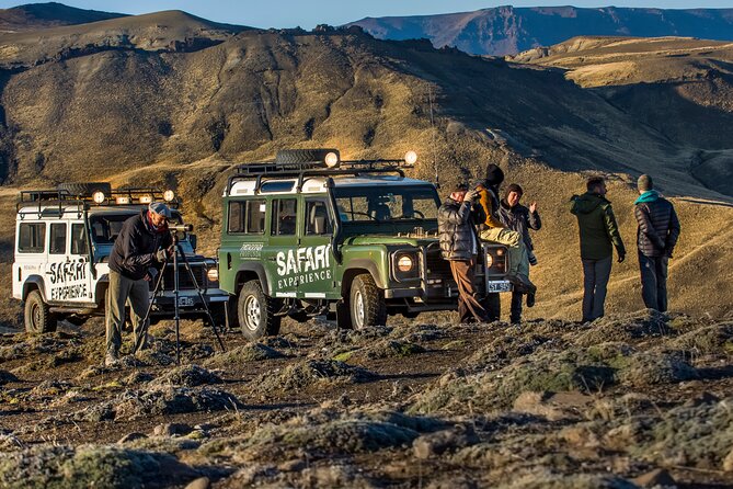 Safari Experience - Wildlife & Steppe - Timing, weather, and planning the day
