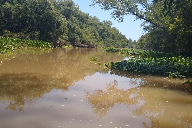 Safari náutico en tigre - Setting out toward the Río de la Plata