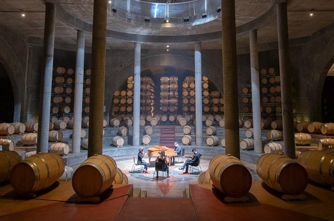 Salentein Wine Tour at the Heart of Uco Valley - Guide quality can shape the whole visit