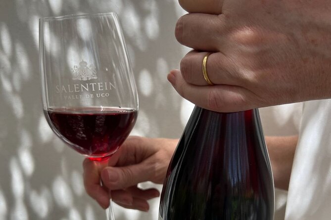 Salentein Wine Tour at the Heart of Uco Valley - Is $148 a fair price?