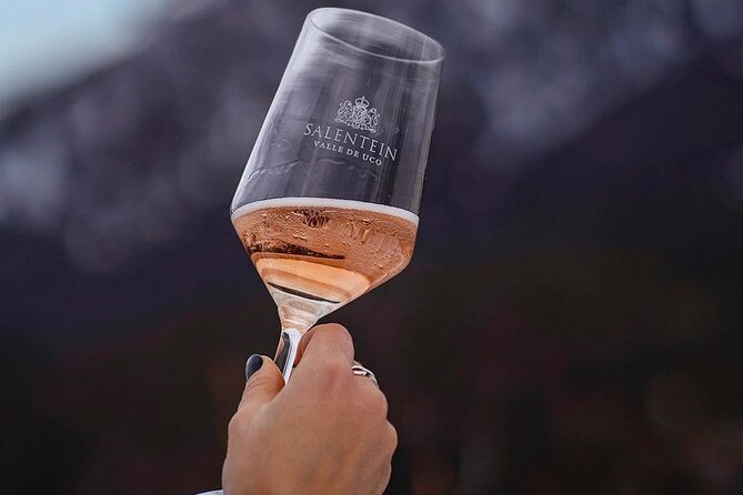 Salentein Wine Tour at the Heart of Uco Valley - Booking, timing, and cancellation details