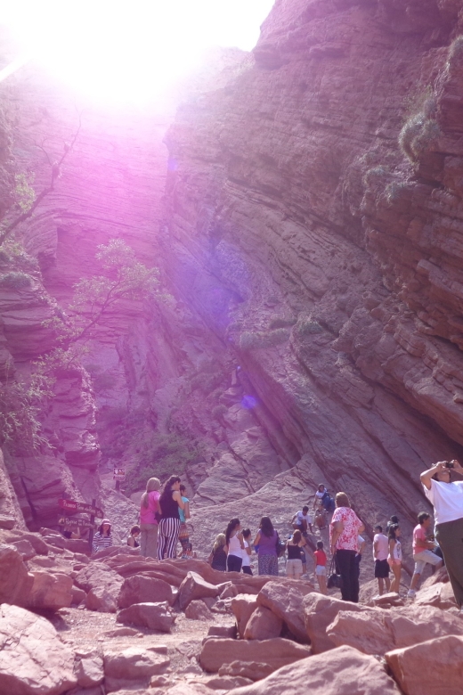 Salta: 2-Day Tour to Cafayate - The afternoon return to Salta