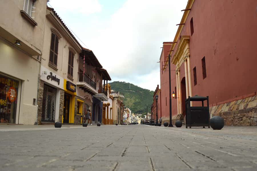 Salta: 4-Hour Guided Highlights City Tour - The Handicraft Market and local color