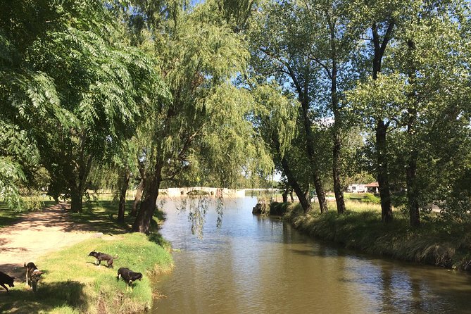 San Antonio de Areco and Lujan Day Trip from Buenos Aires - Is $443.36 per person good value?