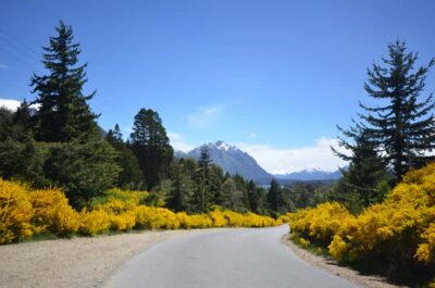 San Martín de los Andes por 7 Lagos