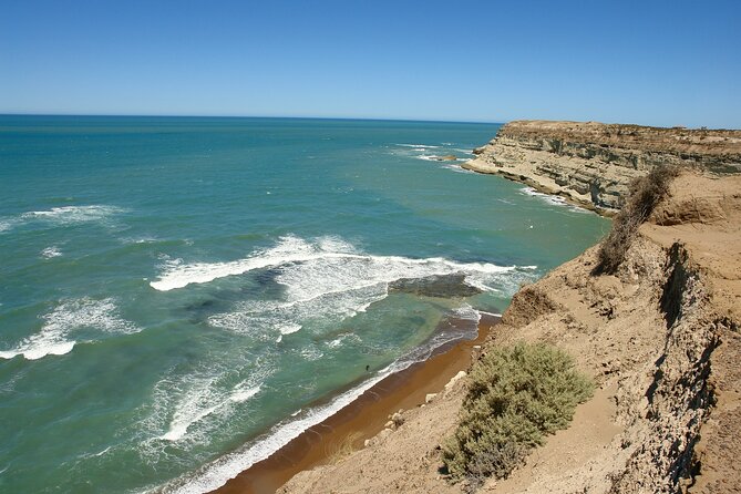Shore Excursion Peninsula Valdes or Punta Tombo - Private Car - Key points to know before booking