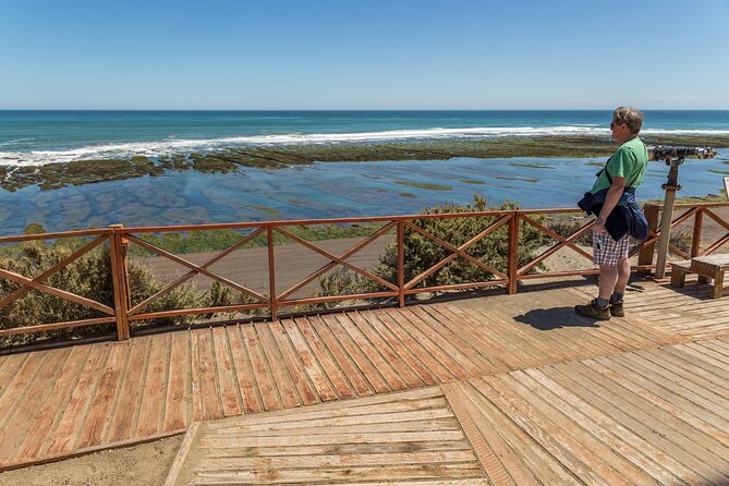 Shore Excursion Peninsula Valdes or Punta Tombo - Private Car - Why a private car makes sense in Puerto Madryn