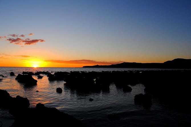 Shore Excursion Peninsula Valdes or Punta Tombo - Private Car - Can you realistically see both sites?