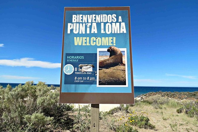 Shore Excursion Punta Loma Sea Lions Reserve Including Puerto Madryn City Tour - Why Punta Loma is Puerto Madryn’s main attraction
