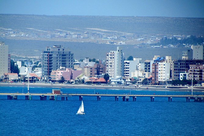 Shore Excursion Punta Loma Sea Lions Reserve Including Puerto Madryn City Tour - What to bring and how to plan