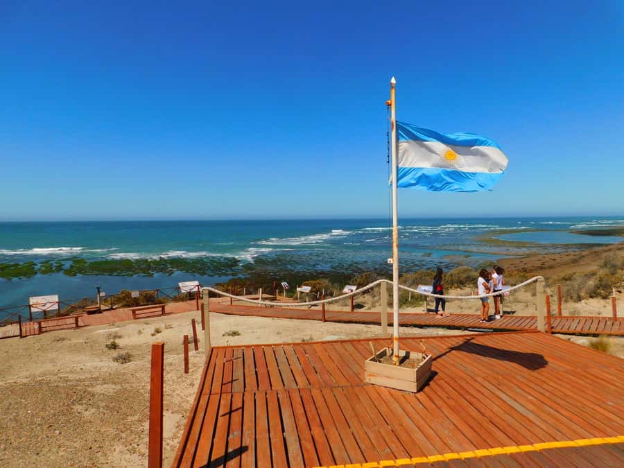 Shore Tours Peninsula Valdes Puerto Madryn Cruise Passengers - Key points to know before you book