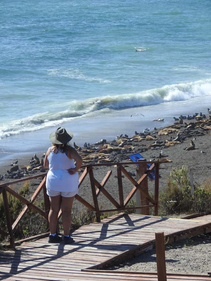 Shore Tours Peninsula Valdes Puerto Madryn Cruise Passengers - Why Península Valdés makes a strong shore excursion