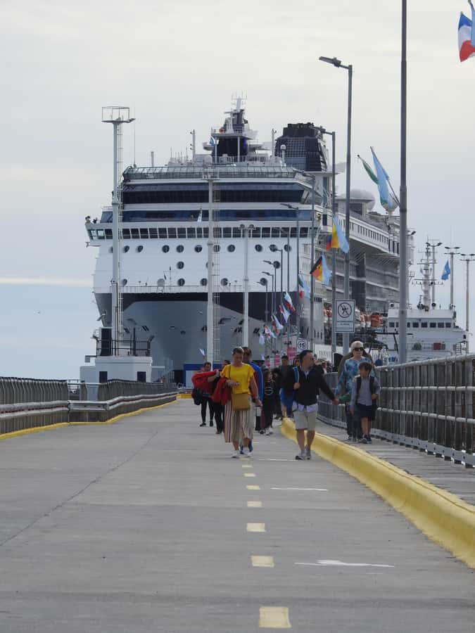 Shore Tours Peninsula Valdes Puerto Madryn Cruise Passengers - El Desempeño gives you your first look at the reserve