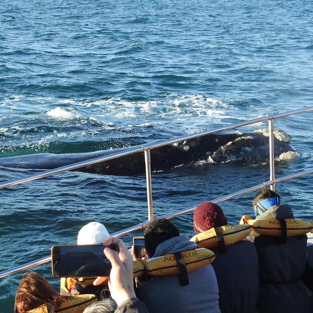 Shore Tours Peninsula Valdes Puerto Madryn Cruise Passengers - Istmo Carlos Ameghino puts the peninsula in context
