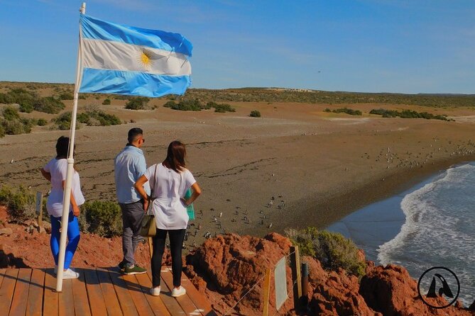 Shore Tours Punta Tombo Cruise Ship Passengers Puerto Madryn - Key points to know before you book