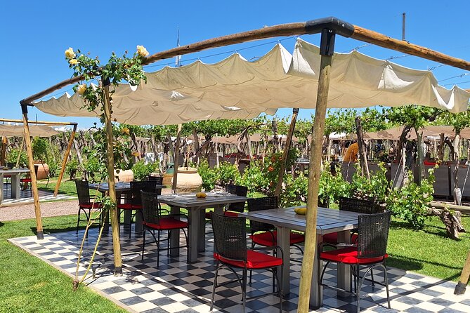 Sip & Savor: Private Tour of Three Charming Wineries - Five things that make this Mendoza wine day worth considering