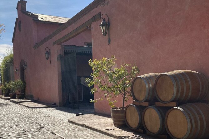 Sip & Savor: Private Tour of Three Charming Wineries - Stop three: Susana Balbo Wines and a long lunch