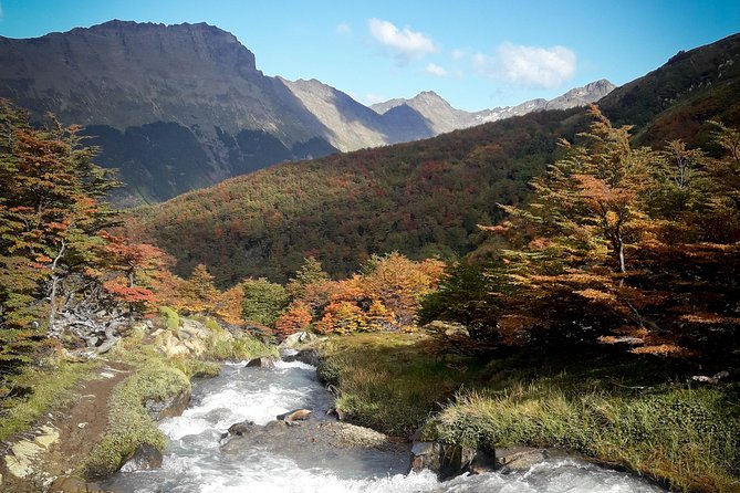 Small group Trekking to Vinciguerra Glacier and Témpanos Lagoon - Starting near Ushuaia with an equipment check
