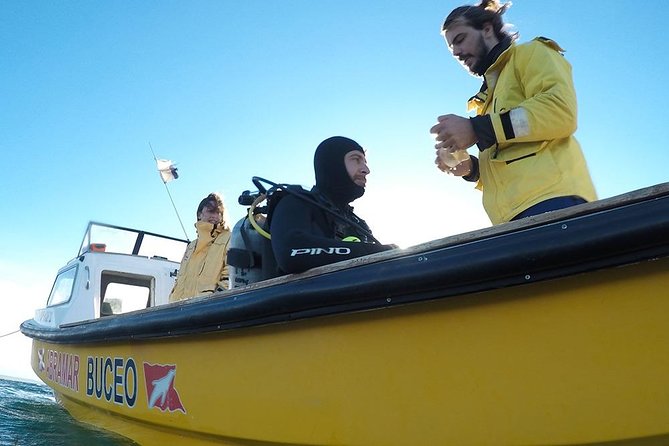 Snorkeling with Sea Lions - From the Lobo Larsen center to the reserve