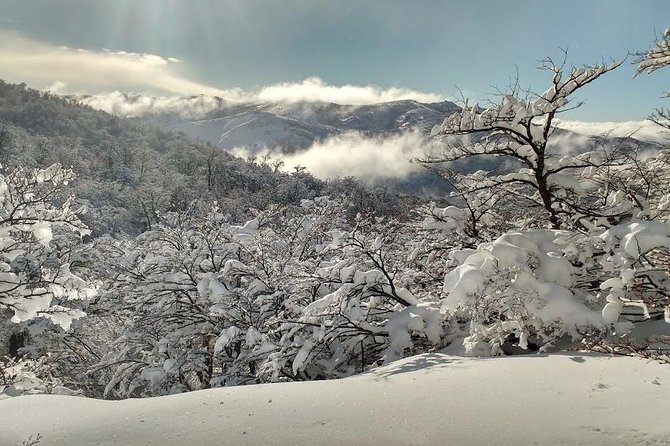 Snow excursion in Bariloche - Suitable for the whole family - A flexible snow day in Nahuel Huapi National Park