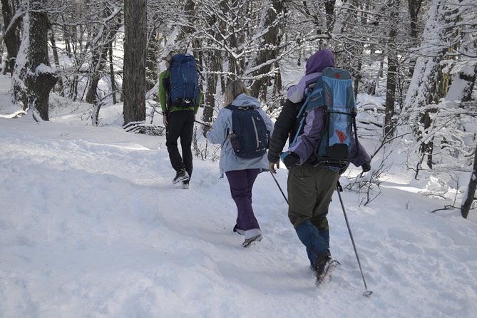 Snow excursion in Bariloche - Suitable for the whole family - The guide’s role makes the difference