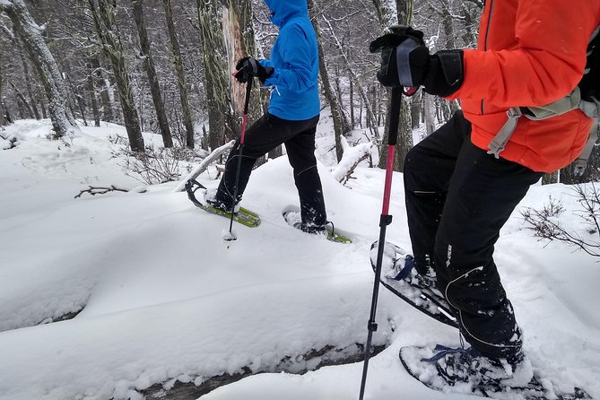 Snow excursion in Bariloche - Suitable for the whole family - Weather can change the whole character of the outing