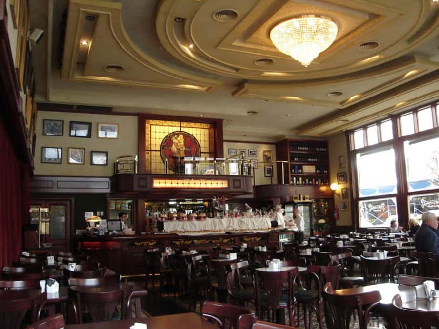 Tango Show at Café de los Angelitos - Who will enjoy Café de los Angelitos most?