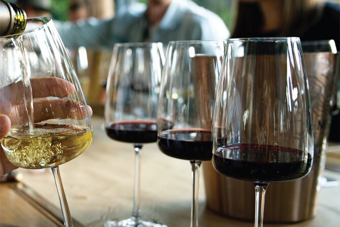 Tasting and lunch in cellar + Olive tree. Private transportation - Pasrai Olive Tree: Mendoza beyond the wine glass
