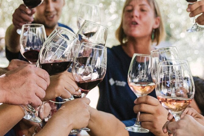 Tasting and lunch in cellar + Olive tree. Private transportation - Who will enjoy this experience most?