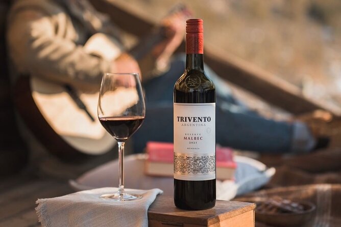Tasting in two wineries + full lunch. Transfer included - What this Mendoza wine tour is trying to do