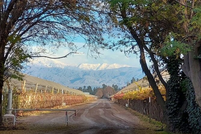 Tasting in two wineries + full lunch. Transfer included - Santa Julia offers the clearest start