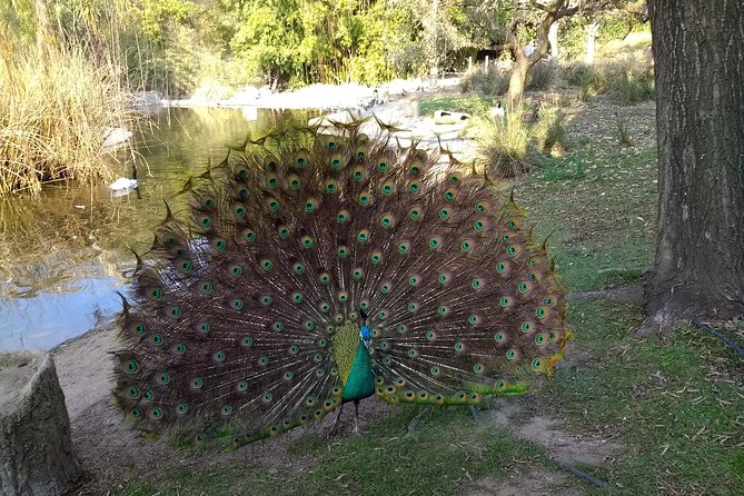 Temaiken Biopark Buenos Aires Tour - Five hours inside the 34-hectare biopark