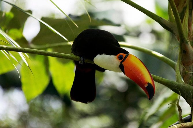 Temaiken Biopark Buenos Aires Tour - The aquarium and Argentine aquatic life