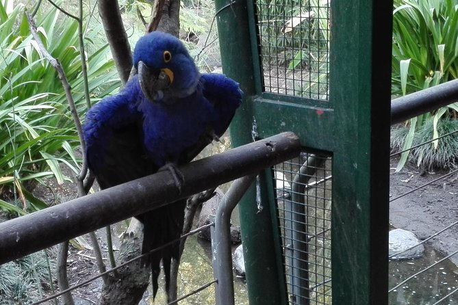 Temaiken Biopark Buenos Aires Tour - Interactive centers, cinema, and places to eat