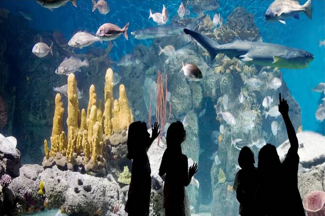 Temaiken Biopark Buenos Aires Tour - Returning to central Buenos Aires