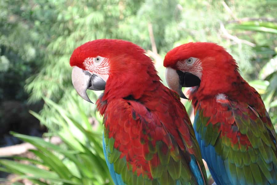 Temaiken Biopark Entry Tickets - The aquarium gives the day a welcome change