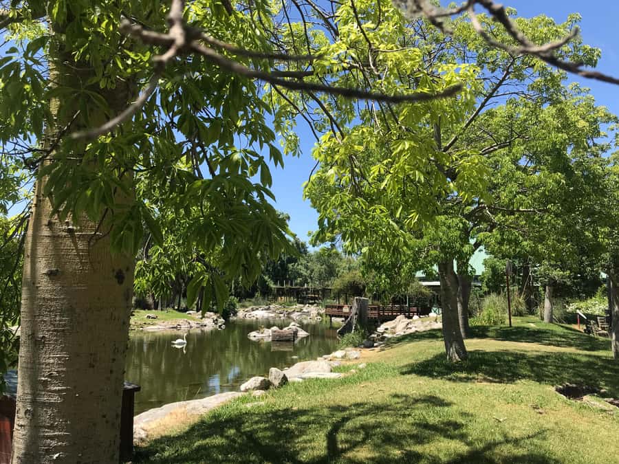 Temaiken Biopark Entry Tickets - Botanical gardens and plants between the animals