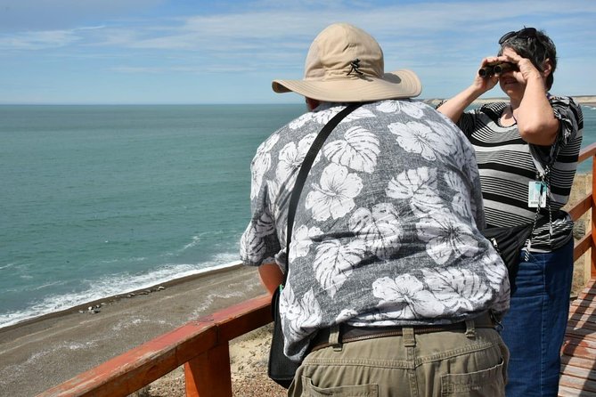 The Best of Peninsula Valdés in one day - The 7:30 a.m. departure and the long road south
