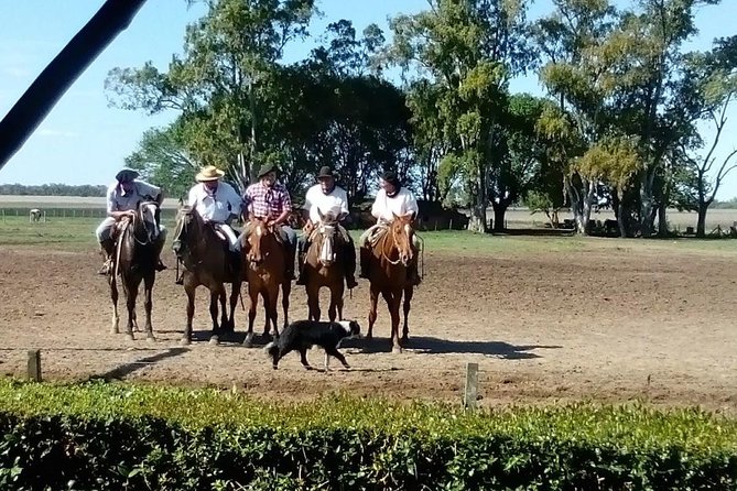 The Most Traditional Fiesta Gaucha in Buenos Aires - Choosing between horseback riding and the carriage