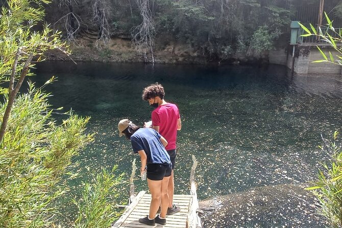 Three Lakes Circuit - Lago Gutiérrez and time to walk