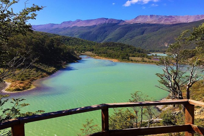 Tierra del Fuego National Park - Why this five-hour tour works well from Ushuaia