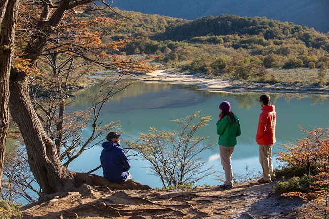 Tierra del Fuego National Park Private Tour - Why this private park tour works well in Ushuaia