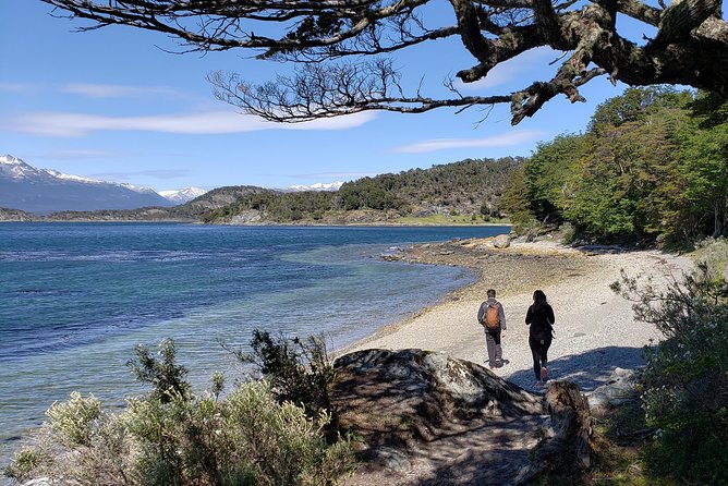 Tierra del Fuego National Park Private Tour - Bahia Ensenada Zaratiegui and the Beagle Channel