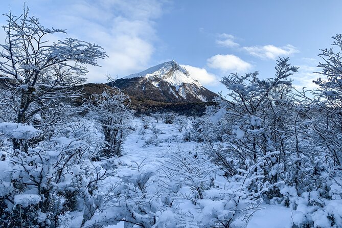 Tierra del Fuego National Park – Small Groups. Optional Train - Ensenada Zaratiegui and the End of the World Mail